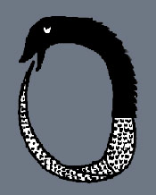oruborus