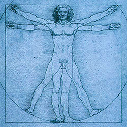 vitruvian_man